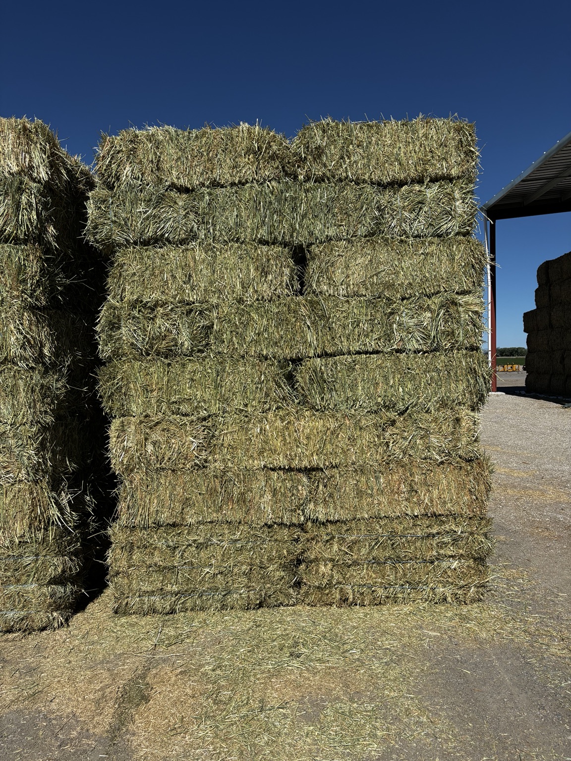 Stacked 3-tie wheat hay bales at Fagundes Farms