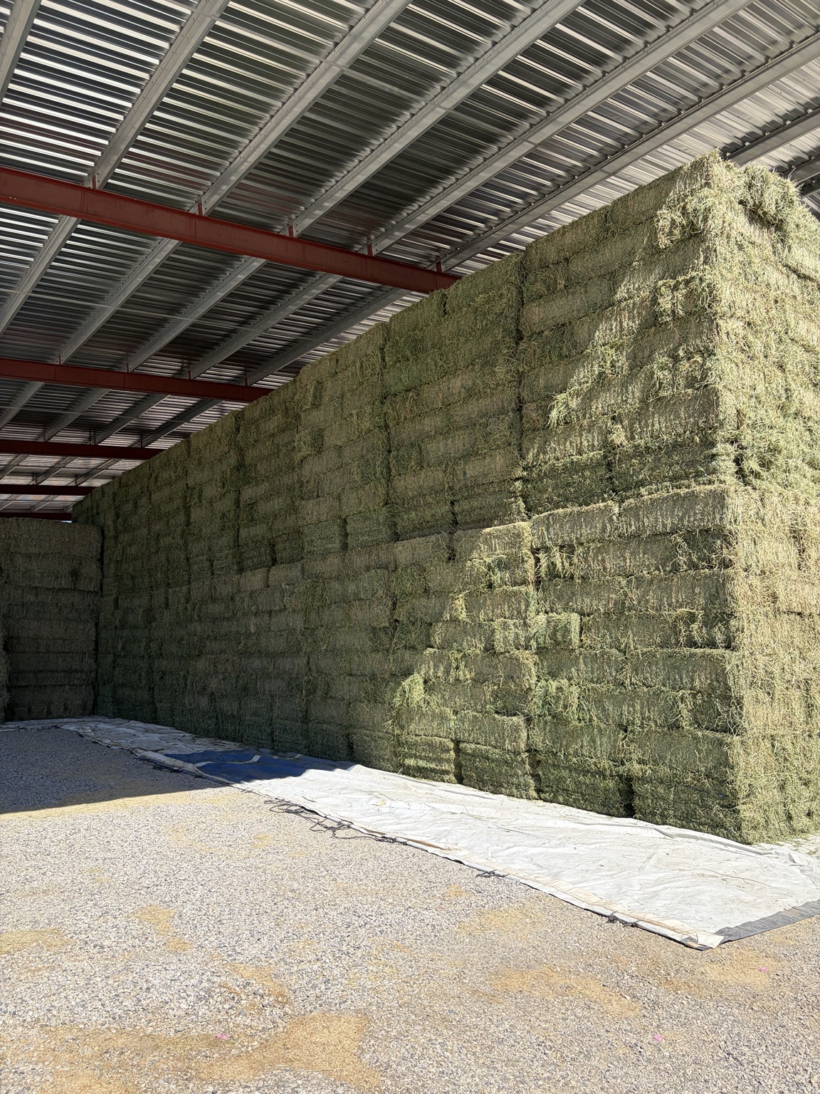 Stacked 3-tie alfalfa hay bales at Fagundes Farms in Fallon, Nevada