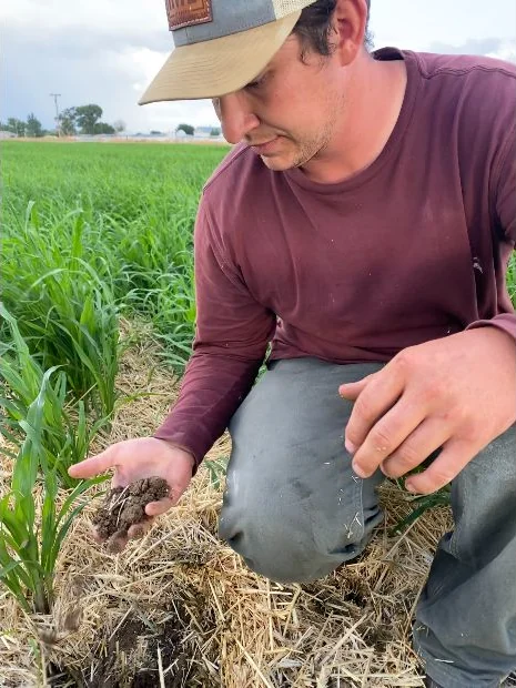 Inspecting a crop in a Fagundes Farms field